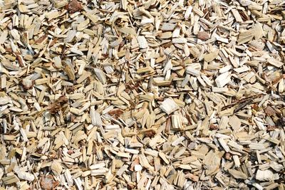 Full frame shot of wood chips