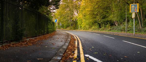 Road amidst trees in forest