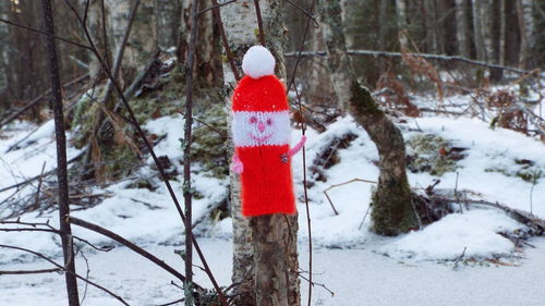 Red umbrella on snow covered tree in forest