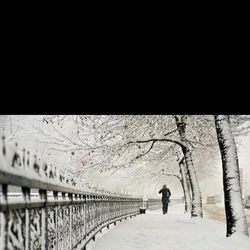 Snow covered landscape