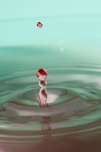 Close-up of drop falling on water