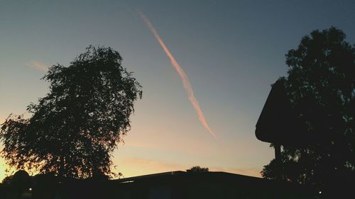 Low angle view of trees against sky