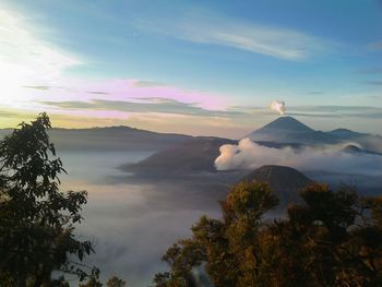 Scenic view of trees against cloudy sky during sunset
