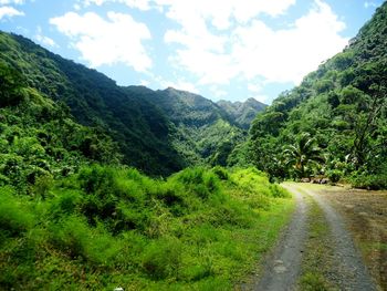 Scenic view of mountain road