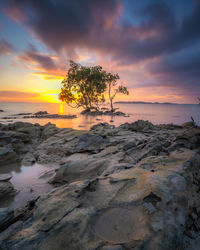 Scenic view of sea against sky during sunset