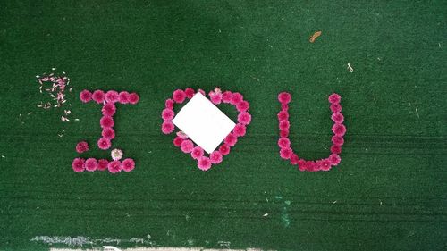 Close-up of heart shape on pink flower