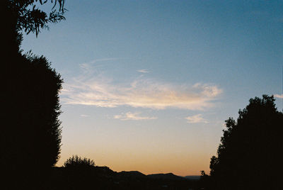 Low angle view of silhouette trees against sky at sunset