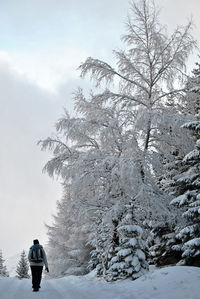 Rear view of person on snow covered field