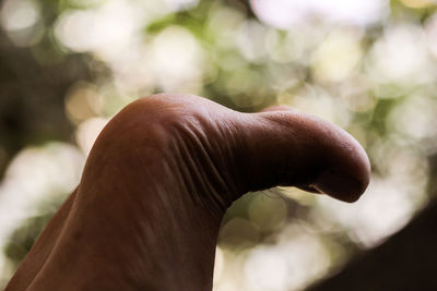 Close-up of human hand