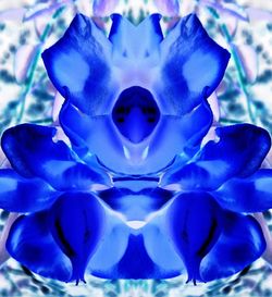 Close-up of flower against blurred background