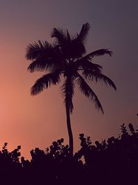 Silhouette palm tree against sky during sunset