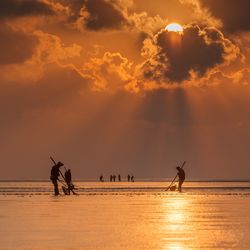 Silhouette fishermen at beach against sky during sunset
