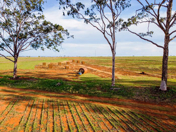 Scenic view of land against sky