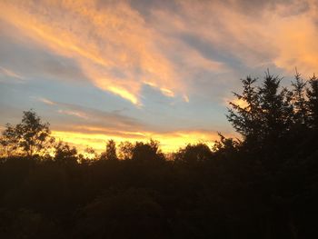 Silhouette trees against orange cloudy sky