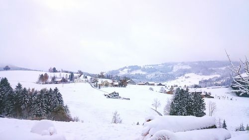 Snow covered landscape