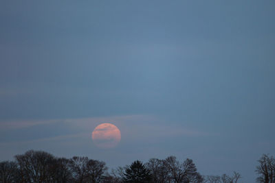 Low angle view of moon in sky