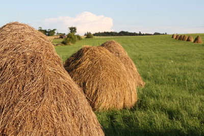 Hay bales on field against sky