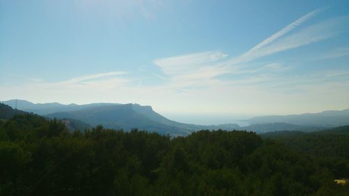 Scenic view of forest and mountains against sky