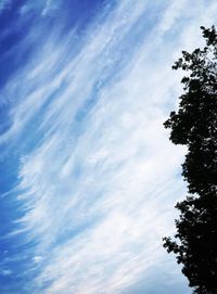 Low angle view of silhouette trees against blue sky