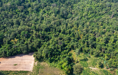 Forest destruction with rainbow in thailand form aerial view