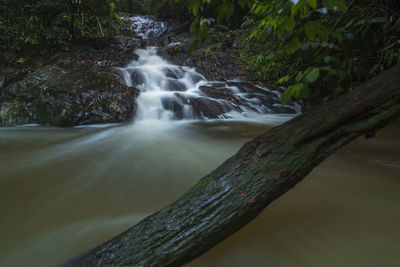 Scenic view of waterfall in forest