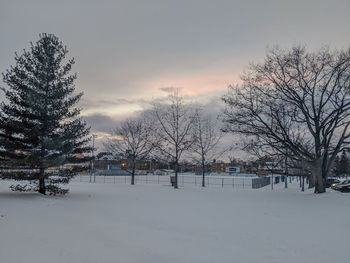 Bare trees on snow covered field against sky during sunset