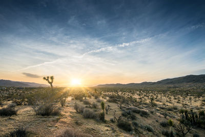 Scenic view of landscape against sky at sunset