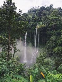 Scenic view of waterfall