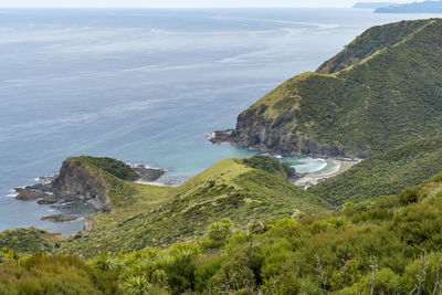 Coastal scenery around cape reinga at the north island in new zealand