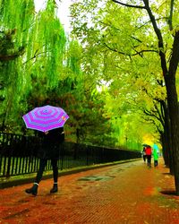 People walking on footpath