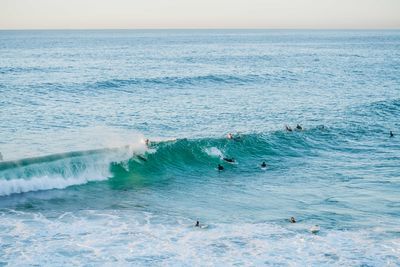 Surfers in the water riding waves at sydney beach