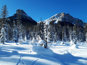 Snow covered trees on field against sky