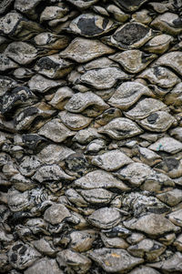 Full frame shot of tiled floor