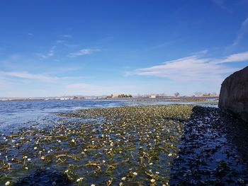 Scenic view of sea against blue sky