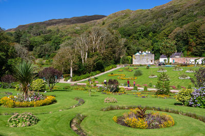 Scenic view of green landscape against sky