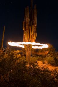 Illuminated lights at night