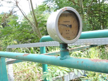 Close-up of pipe on tree