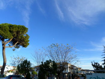 Low angle view of trees and buildings against blue sky