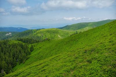 Scenic view of landscape against sky