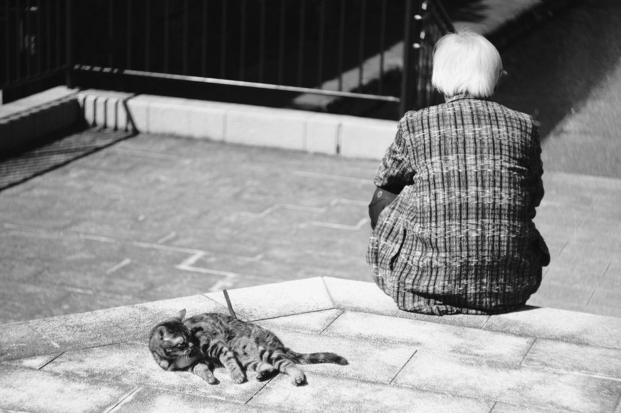 REAR VIEW OF WOMAN WITH DOG RELAXING ON FLOOR