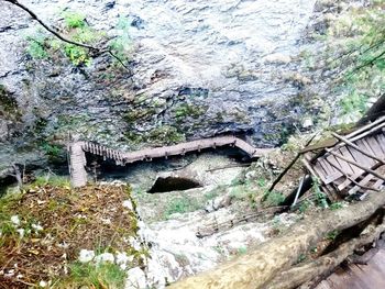 Low angle view of rock formation amidst trees