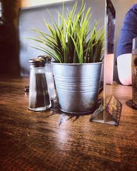 Low section of potted plants on table at home