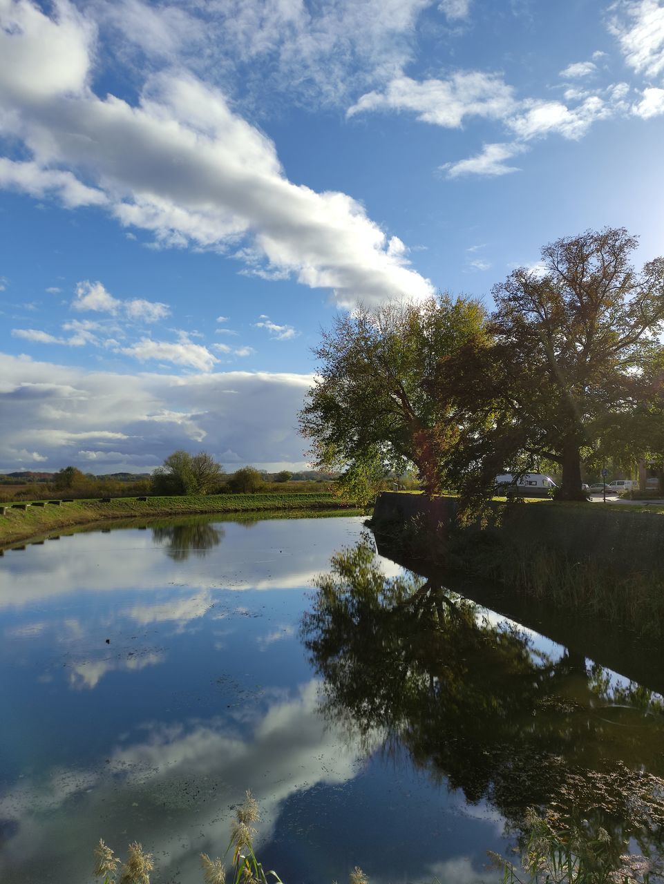 SCENIC VIEW OF LAKE BY TREES AGAINST SKY