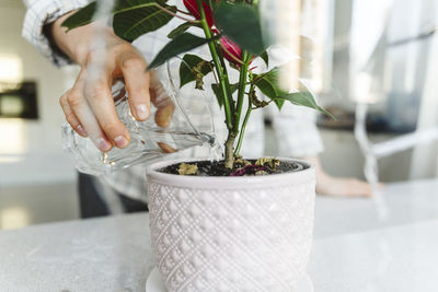 Midsection of woman holding potted plant