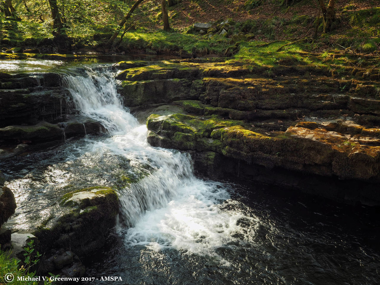 SCENIC VIEW OF WATERFALL