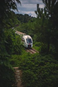 Train on railroad track amidst trees against sky