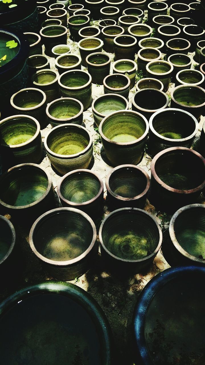 green color, in a row, side by side, full frame, indoors, backgrounds, arrangement, large group of objects, abundance, repetition, close-up, leaf, order, high angle view, pattern, no people, plant, green, variation, still life