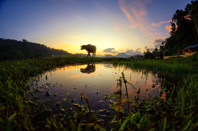 Scenic view of lake against sky during sunset