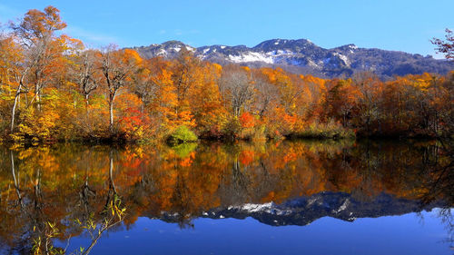 Beautiful nature view of arashiyama in autumn season along the river in kyoto, japan.