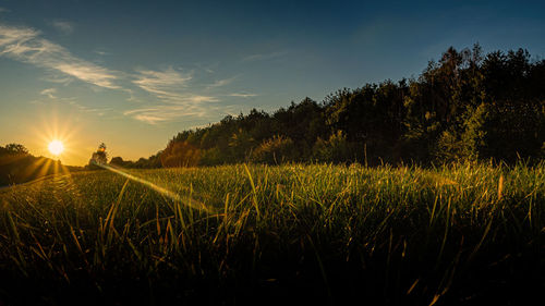 Scenic view of field against sky at sunset